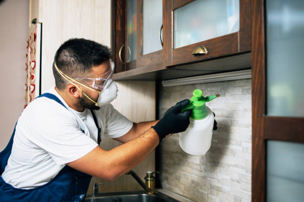 Best Emergency Pest Control  in Allendale, CA