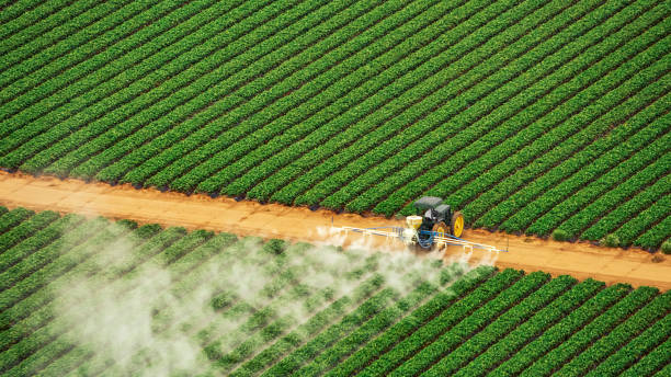 Insect Control in Allendale, CA